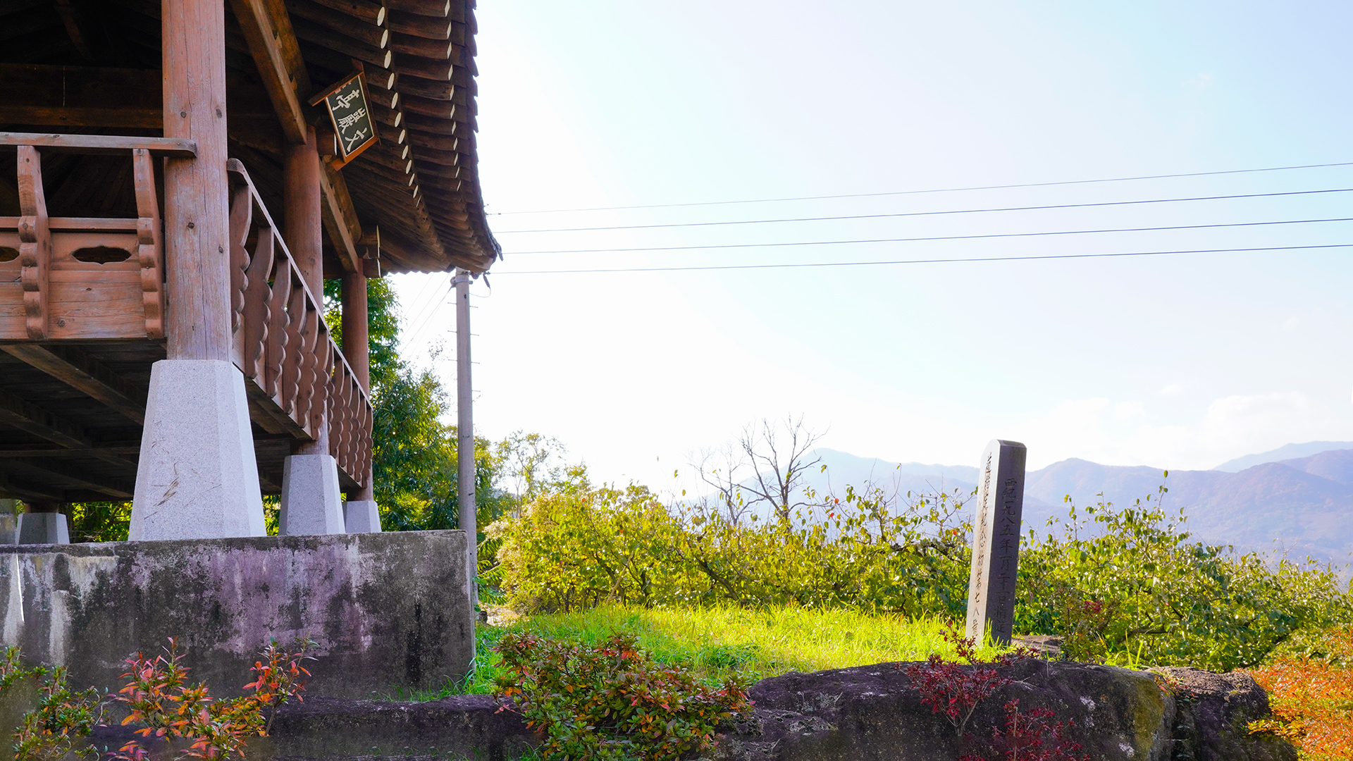 하동 축지리 문암송